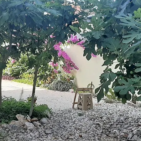 Figos Apartament
