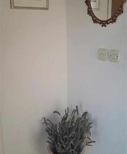 Apartment Figos
